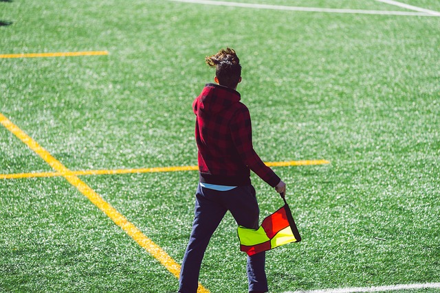 斯的职业生 斯的职业生