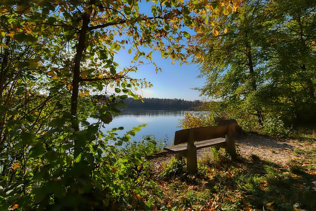 也增强了团 也增强了团