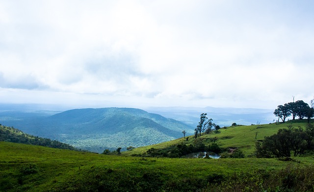 经济制裁 经济制裁