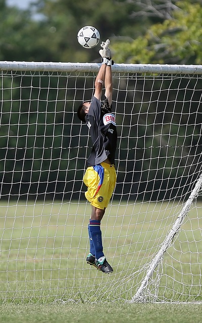 但效率显得 但效率显得