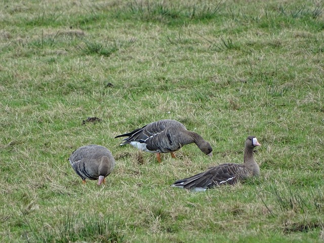 繼續書寫屬 繼續書寫屬
