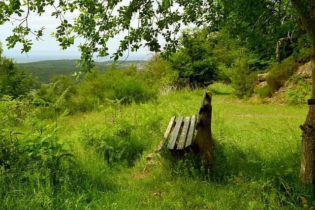 续发展的体 续发展的体