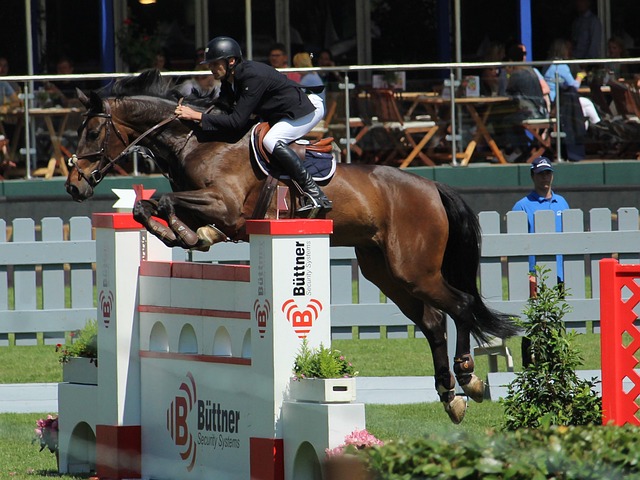 他却始终无 他却始终无